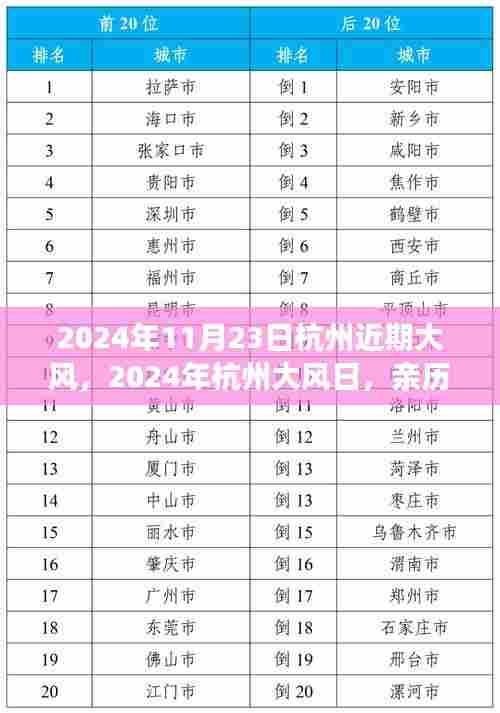 亲历大风下的杭州魅力与挑战,2024年杭州大风日实录