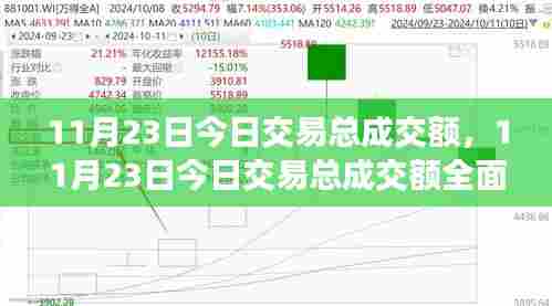 11月23日今日交易总成交额,11月23日今日交易总成交额全面评测与介绍
