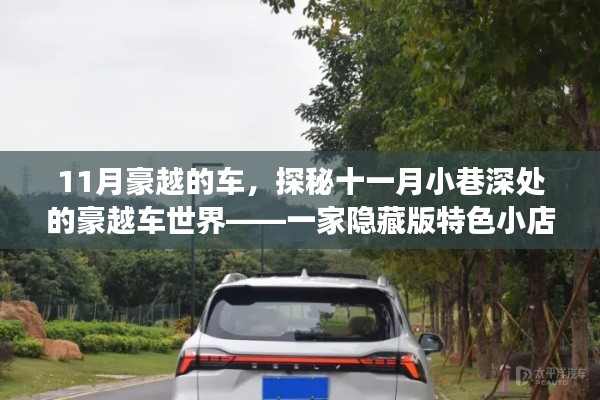 项目介绍 第542页