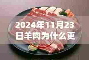 羊肉易消化性的探讨，为何在特定日期更易消化