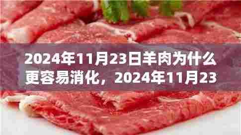 羊肉易消化性的探讨,为何在特定日期更易消化