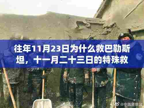 往年11月23日巴勒斯坦救援行动，爱与陪伴的力量背后的特殊救援之旅揭秘