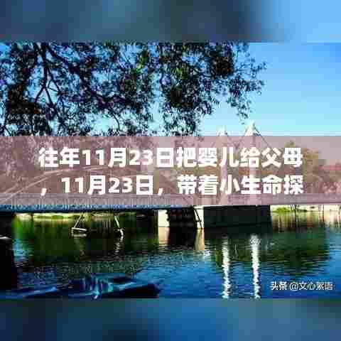 11月23日，婴儿交付与探索自然美景的奇妙之旅