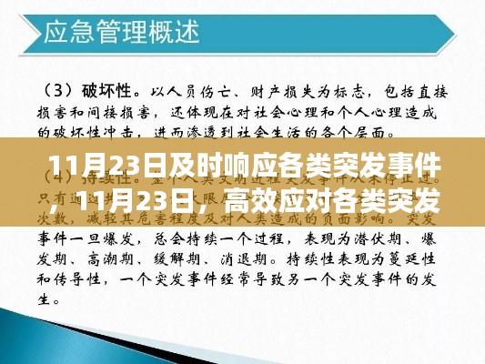 11月23日突发事件应对策略与案例分析,高效响应与处置