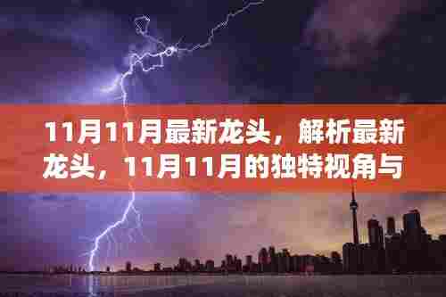最新解析，11月龙头的独特视角与观点