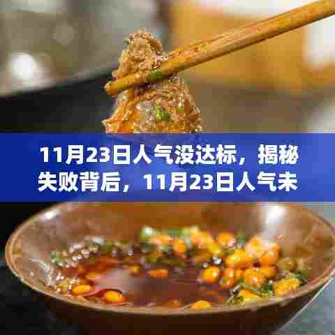 揭秘人气未达标背后的深层原因及应对策略,11月23日的反思与行动指南