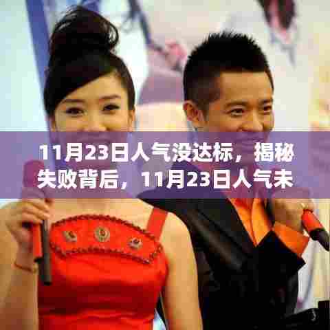 揭秘人气未达标背后的深层原因及应对策略,11月23日的反思与行动指南