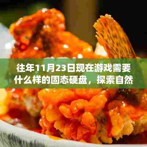 往年11月23日现在游戏需要什么样的固态硬盘，探索自然美景之旅，揭秘理想固态硬盘，启程寻找心灵净土