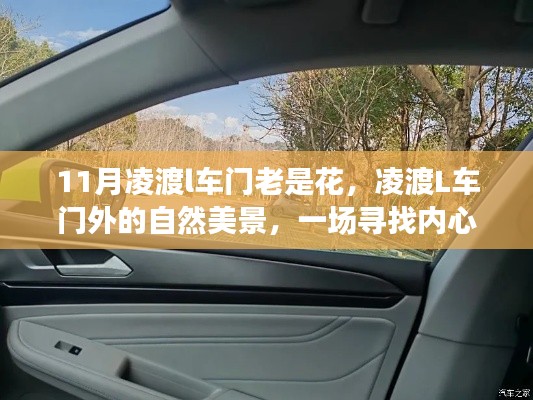 关于我们 第538页