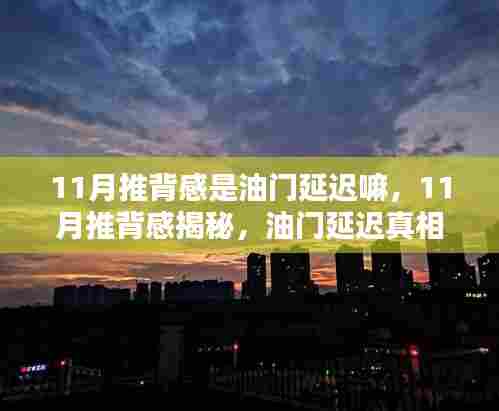 揭秘11月推背感背后的油门延迟真相与全方位体验评测