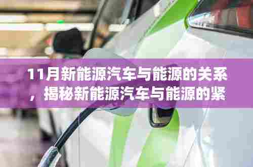 揭秘新能源汽车与能源的紧密纽带,11月市场观察分析文章标题,新能源汽车与能源关系深度解读