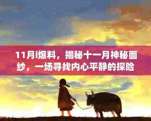 揭秘十一月神秘面纱，探险之旅带你远离尘嚣，拥抱大自然的怀抱