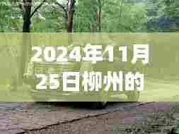 柳州凯迪拉克4S店励志篇章,超越梦想,驾驭未来