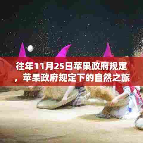 苹果政府规定下的自然之旅,探寻内心平静的奇妙探险之旅