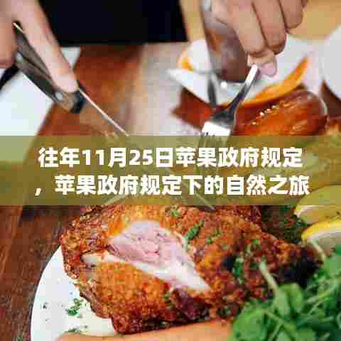 苹果政府规定下的自然之旅,探寻内心平静的奇妙探险之旅