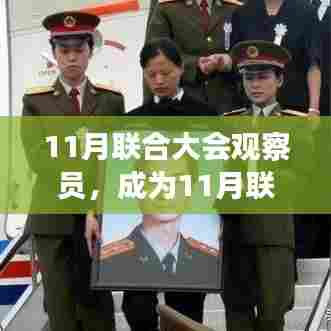 详细步骤指南,成为11月联合大会观察员