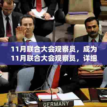详细步骤指南,成为11月联合大会观察员
