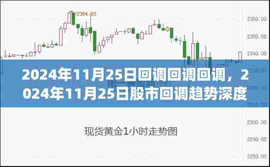 独家解析,2024年11月25日股市回调趋势深度解读