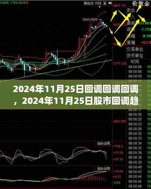 独家解析,2024年11月25日股市回调趋势深度解读