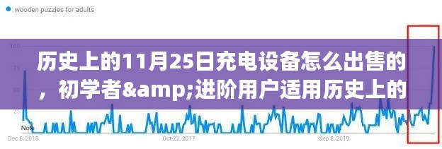历史上的充电设备销售秘诀,从初学者到进阶用户的充电设备销售指南,揭秘11月25日的销售策略!