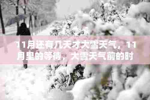 11月等待大雪,时光流转中的观点碰撞与期待