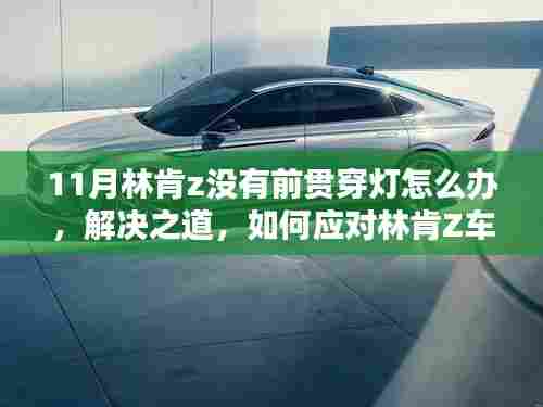 新闻动态 第555页