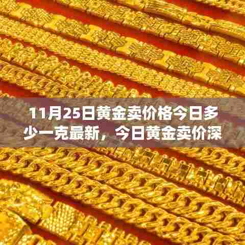 今日黄金卖价深度解析,价格、特性、使用体验与竞品对比(11月25日更新)