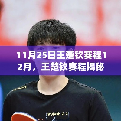 王楚钦11月25日至12月赛程揭秘,深度解析竞技之旅