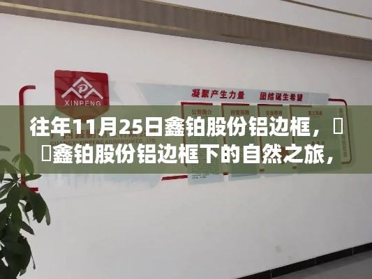 鑫铂股份铝边框下的自然之旅,11月25日的革命性变革