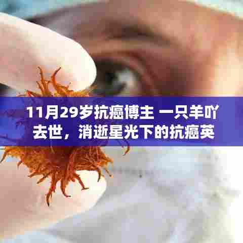 抗癌英雄‘一只羊吖’逝世，星光消逝与小巷美食的纪念