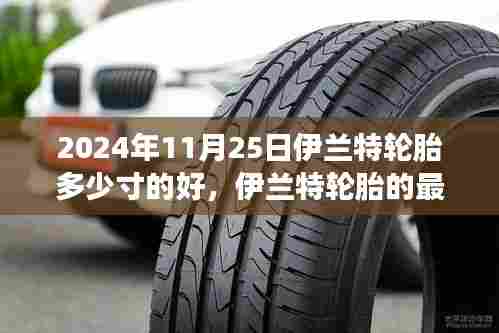 伊兰特轮胎最佳尺寸选择,启程探寻自然美景之旅,启程寻找内心的宁静之路(日期,XXXX年XX月XX日)
