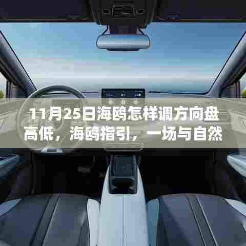 海鸥指引下的心灵之旅，与自然共舞，探寻方向盘高低调整与心灵宁静港湾的奇妙之旅