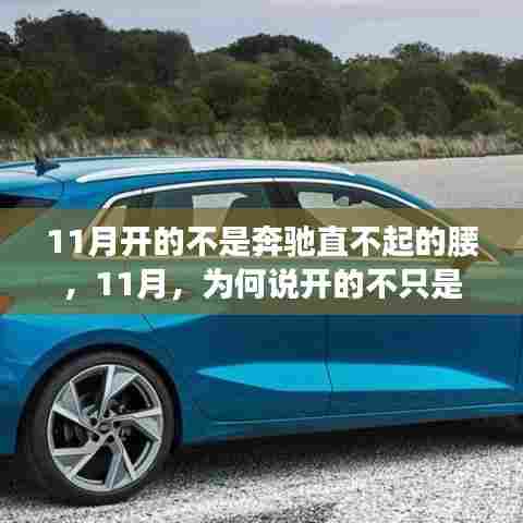 探究背后的深层含义,为何说11月开的不仅是奔驰?