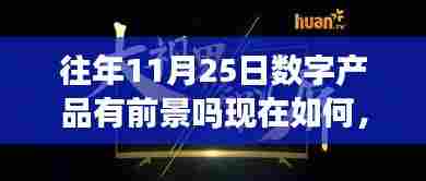 深巷秘境中的数字产品宝藏店,探寻数字产品新机遇与往年11月25日的发展前景分析