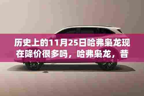 揭秘昔日荣光哈弗枭龙今日降价背后的故事,历史降价趋势深度解析