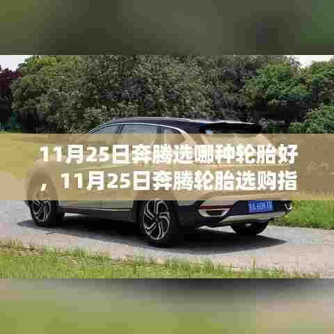 11月25日奔腾轮胎选购全面解析，特性、使用体验与目标用户群体分析