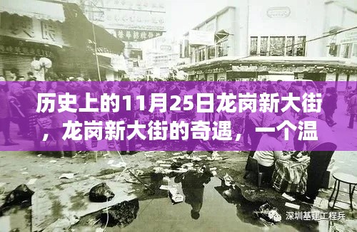 龙岗新大街的奇遇,温馨日常故事在11月25日的历史见证