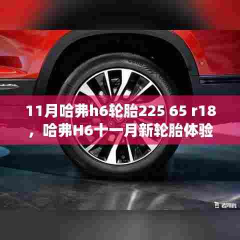 哈弗H6新轮胎体验,225/65R18轮胎开启驾驶新篇章