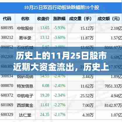 历史上的11月25日股市资金流出深度解析及应对策略指南