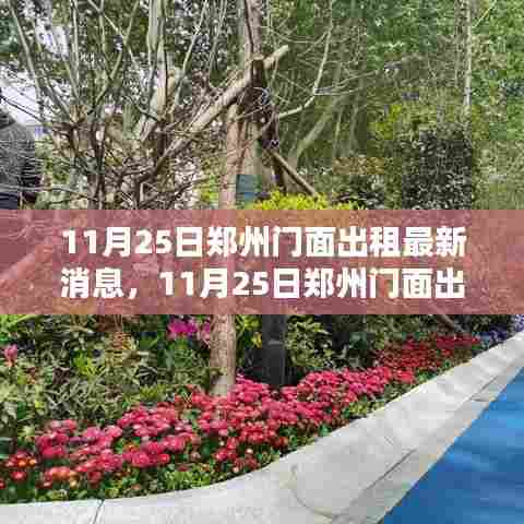 郑州门面出租最新消息与热门选址解析,独家爆料与全面解读