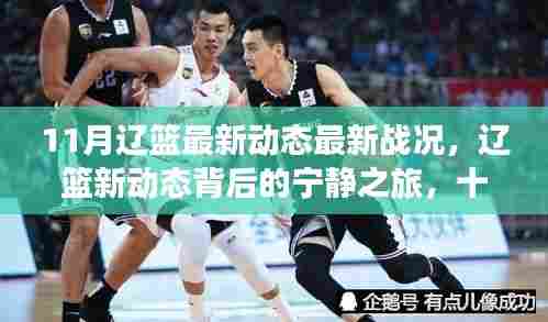 11月辽篮最新动态与宁静之旅,与自然共舞的日子