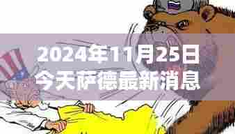 萨德最新动态及观点分析，聚焦2024年11月25日