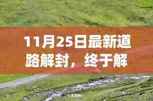 11月25日最新道路解封，终于解封了！踏上自然美景的探索之旅，寻找内心的平和宁静