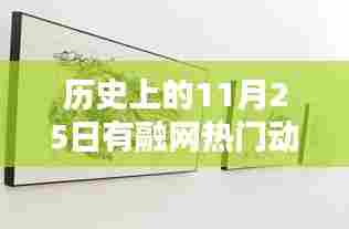 历史上的11月25日,融网热门动态全面评测与回顾