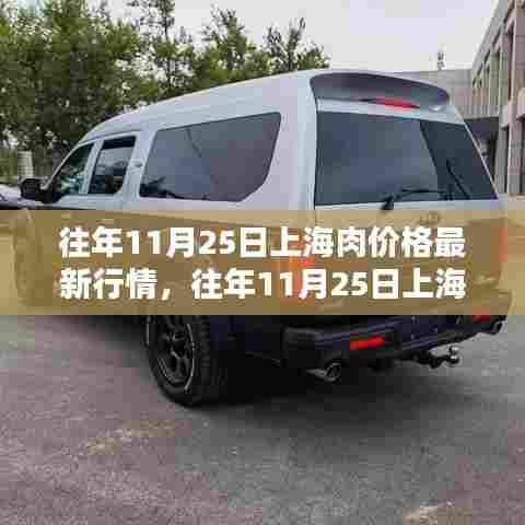 往年11月25日上海肉价行情及深度评测,特性、体验、对比与需求分析报告