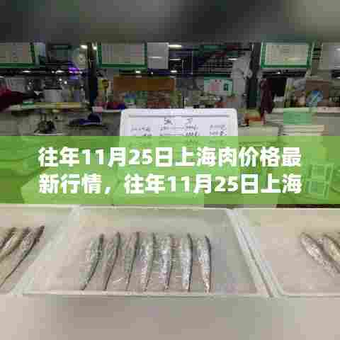 往年11月25日上海肉价行情及深度评测,特性、体验、对比与需求分析报告