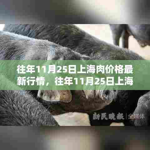 往年11月25日上海肉价行情及深度评测,特性、体验、对比与需求分析报告