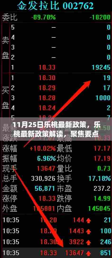 乐桃新政解读与展望,聚焦未来发展趋势