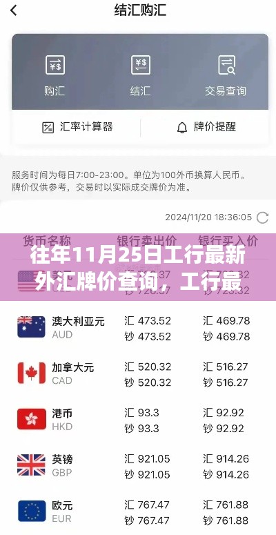 往年11月25日工行最新外汇牌价查询及市场洞察分析