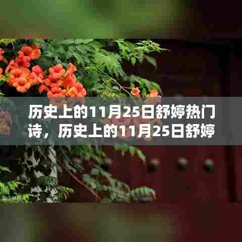 历史上的11月25日舒婷热门诗歌,深度测评与介绍